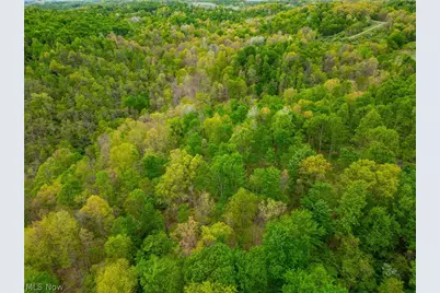 37795 Sheep Skin Ridge, Lower Salem, OH 45745 - Photo 23