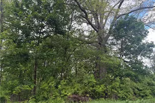 V/L Trenton Rd, Akron, OH 44312 - Photo 1