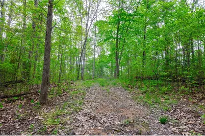 37795 Sheep Skin Ridge, Lower Salem, OH 45745 - Photo 15