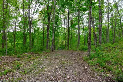 37795 Sheep Skin Ridge, Lower Salem, OH 45745 - Photo 25