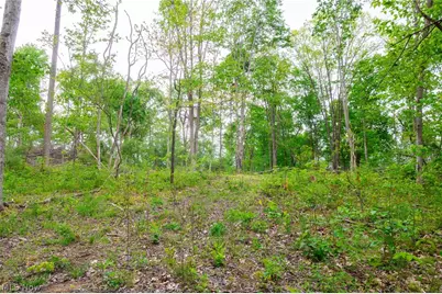 37795 Sheep Skin Ridge, Lower Salem, OH 45745 - Photo 19
