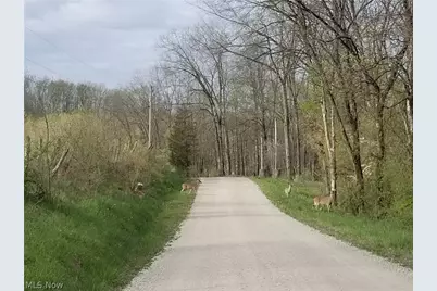37795 Sheep Skin Ridge, Lower Salem, OH 45745 - Photo 29
