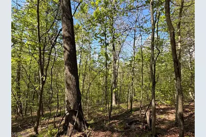 45934 Township Road 290, Coshocton, OH 43812 - Photo 3