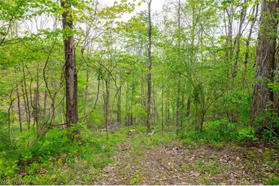 37795 Sheep Skin Ridge, Lower Salem, OH 45745 - Photo 29