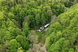 1047 Drift Frk Rd, Elizabeth, WV 26143 - Photo 45