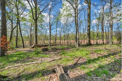 9446 Concord Circle, Twinsburg, OH 44087 - Photo 29