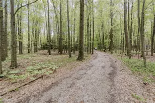 7814 Poorman Rd, Vermilion, OH 44089 - Photo 33