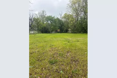 463 S Chestnut Street, Ravenna, OH 44266 - Photo 1
