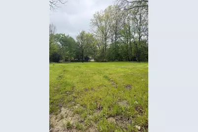 463 S Chestnut Street, Ravenna, OH 44266 - Photo 3