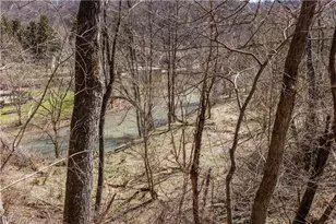 353 Weirton Ave, Weirton, WV 26062 - Photo 5