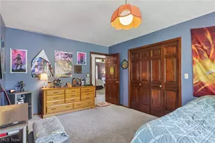 3329 S Maple Ln, Ashtabula, OH 44004 - Photo 29