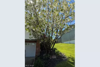 102 Olin Drive, Woodsfield, OH 43793 - Photo 49