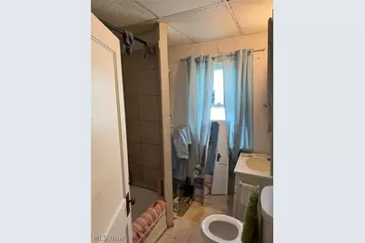919 E 139th Street, Loveland, OH 44110 - Photo 13