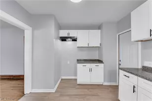 11913 Buckingham Ave, Loveland, OH 44120 - Photo 11