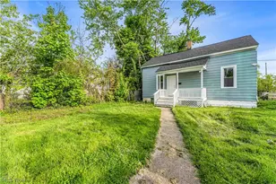 6415 Gertrude Ave, Loveland, OH 44105 - Photo 33