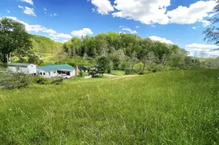 2174 Middle Fork Rd, Reedy, WV 25270 - Photo 49