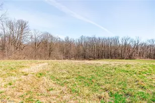 327 Briarhill Dr, Rittman, OH 44270 - Photo 19
