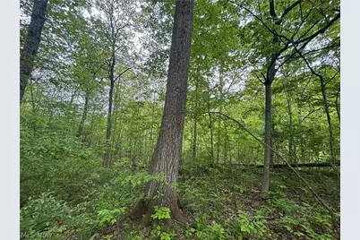 Wesley Chapel, Mount Perry, OH 43760 - Photo 13