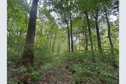 Wesley Chapel, Mount Perry, OH 43760 - Photo 3