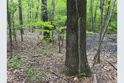 Wesley Chapel, Mount Perry, OH 43760 - Photo 9