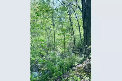 Bates Road, Madison, OH 44057 - Photo 3