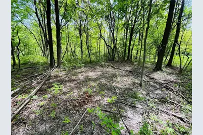 Bates Road, Madison, OH 44057 - Photo 5