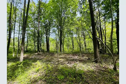 Bates Road, Madison, OH 44057 - Photo 9
