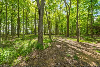 9416 State Route 60, Wakeman, OH 44889 - Photo 45
