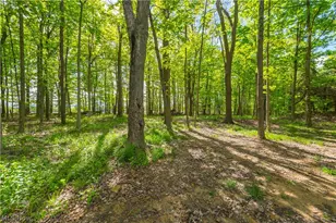 9416 State Route 60, Wakeman, OH 44889 - Photo 45