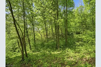 0 Pratts Run Road, Clarington, OH 43793 - Photo 23