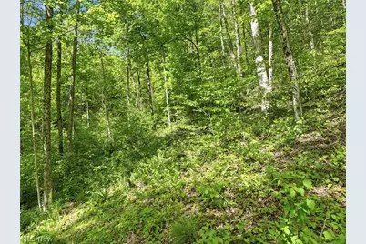 0 Pratts Run Road, Clarington, OH 43793 - Photo 21
