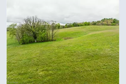 Timmerman Road, Bowerston, OH 44695 - Photo 5
