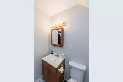 4318 Bucyrus Avenue, Loveland, OH 44109 - Photo 29