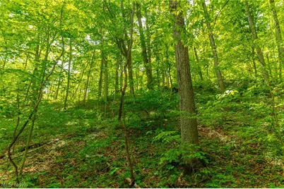 6100 Rockville Road, Blue Rock, OH 43720 - Photo 29