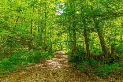 6100 Rockville Road, Blue Rock, OH 43720 - Photo 25