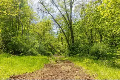 6100 Rockville Road, Blue Rock, OH 43720 - Photo 3