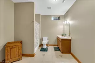 6875 Spring Glen Dr, Valley City, OH 44280 - Photo 39