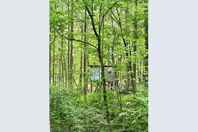 ***203 Doll Street, Weirton, WV 26062 - Photo 47