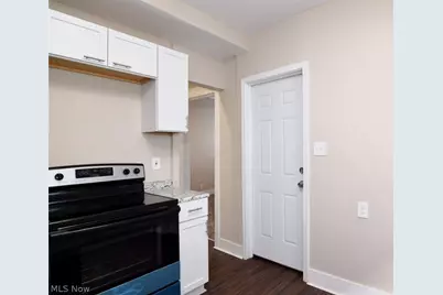 425 East 120th Street, Loveland, OH 44108 - Photo 17