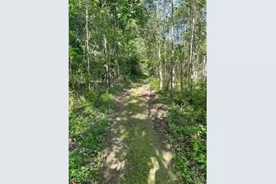 15393 Shade Road, , OH 45735 - Photo 35