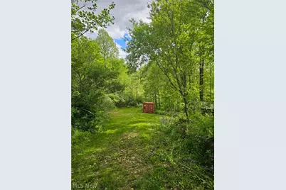 8280 Township Road 263, Bergholz, OH 43908 - Photo 5