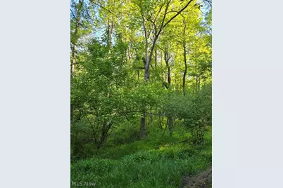 8280 Township Road 263, Bergholz, OH 43908 - Photo 17