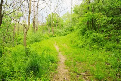 Morganville Rd Road, Corning, OH 43730 - Photo 13