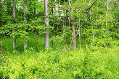 Morganville Rd Road, Corning, OH 43730 - Photo 15