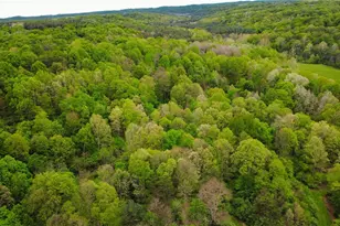 Morganville Rd Rd, Corning, OH 43730 - Photo 1