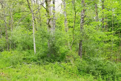 Morganville Rd Road, Corning, OH 43730 - Photo 17