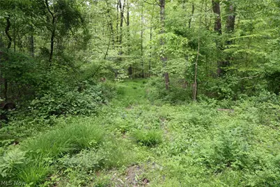 61342 High Hill Road, Cambridge, OH 43725 - Photo 27