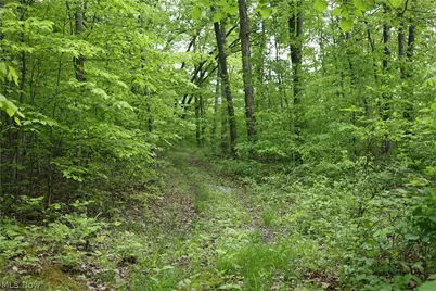 61342 High Hill Road, Cambridge, OH 43725 - Photo 19