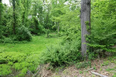 61342 High Hill Road, Cambridge, OH 43725 - Photo 29