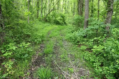 61342 High Hill Road, Cambridge, OH 43725 - Photo 23